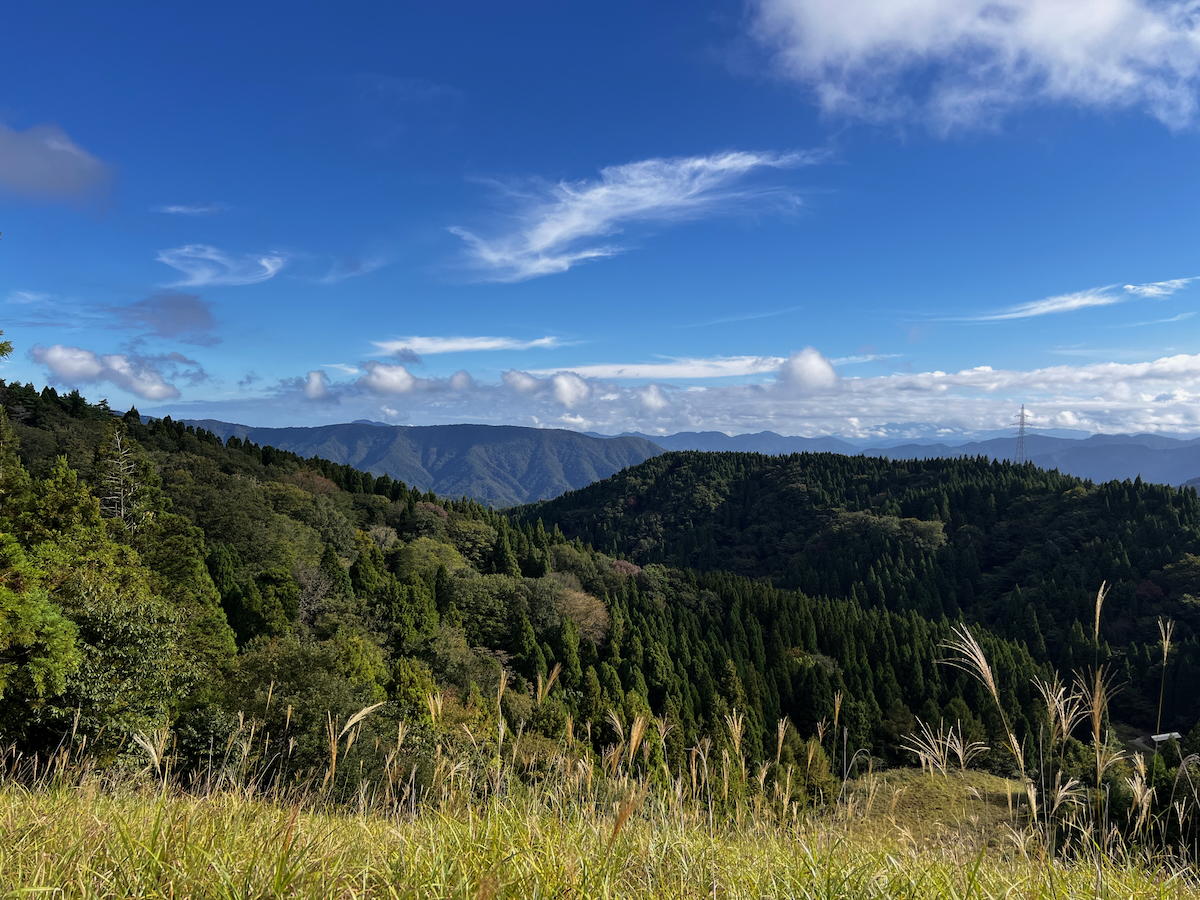 鉢伏山の風景